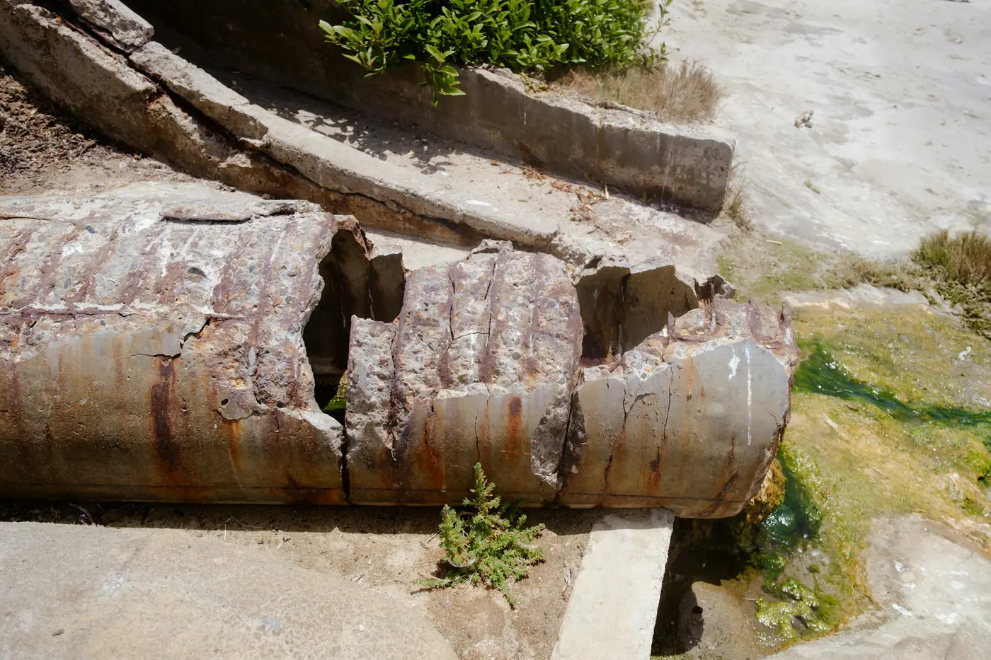 Broken, corroded pipe with eroded sections among weeds