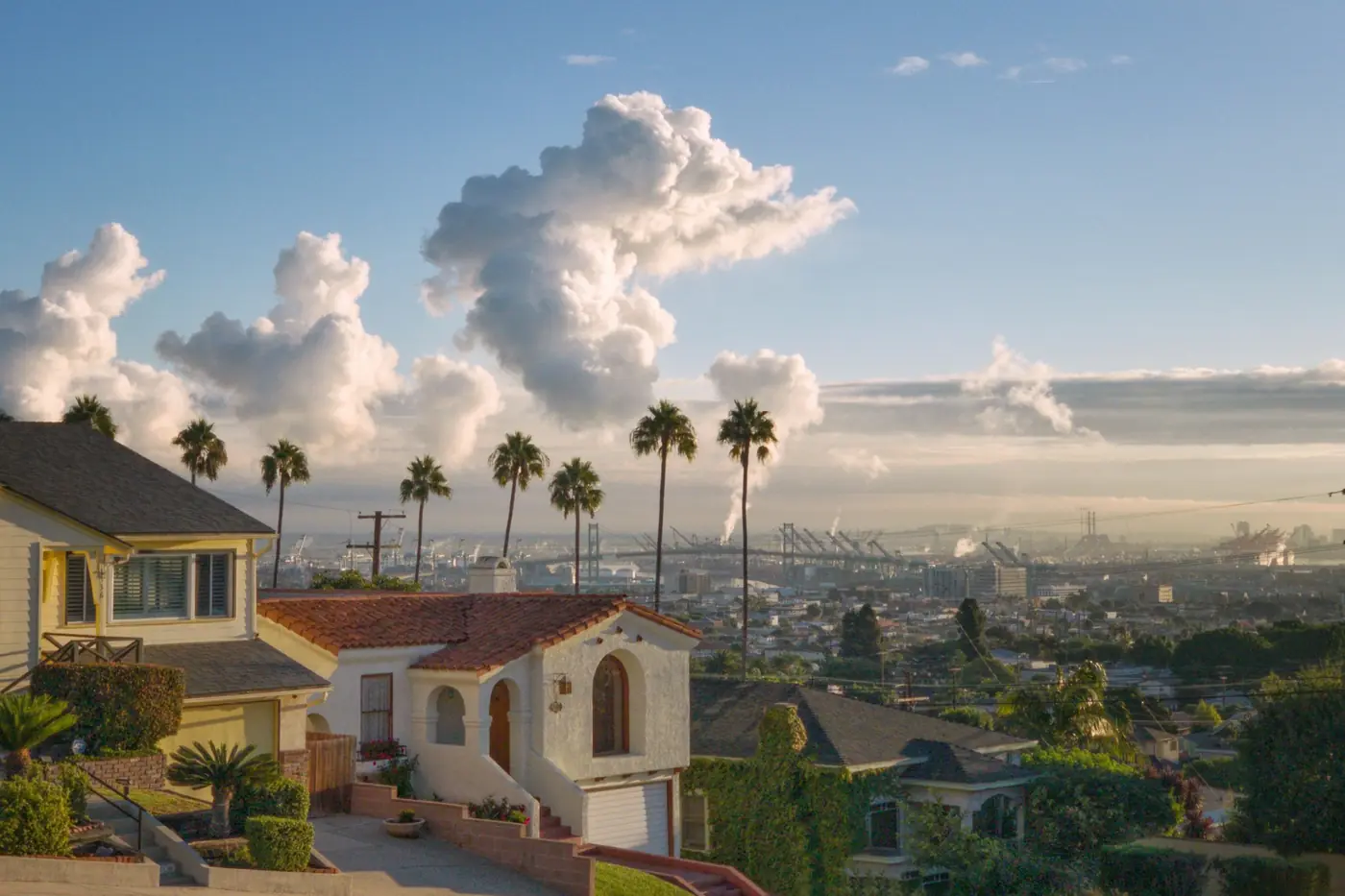 Hillside homes with palm trees and a city view under a blue sky