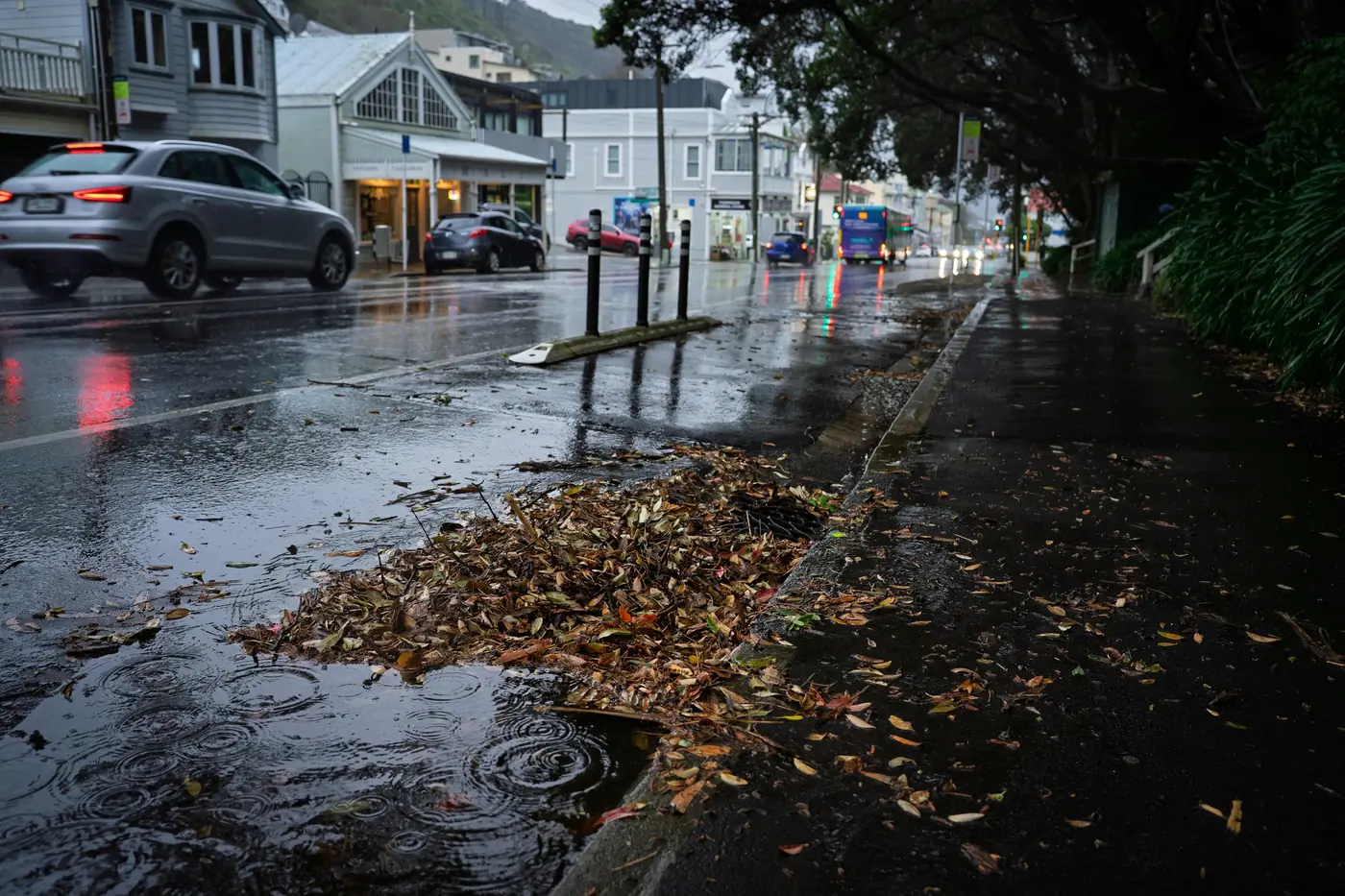 Wet autumn leaves clogging a storm drain on a rainy street