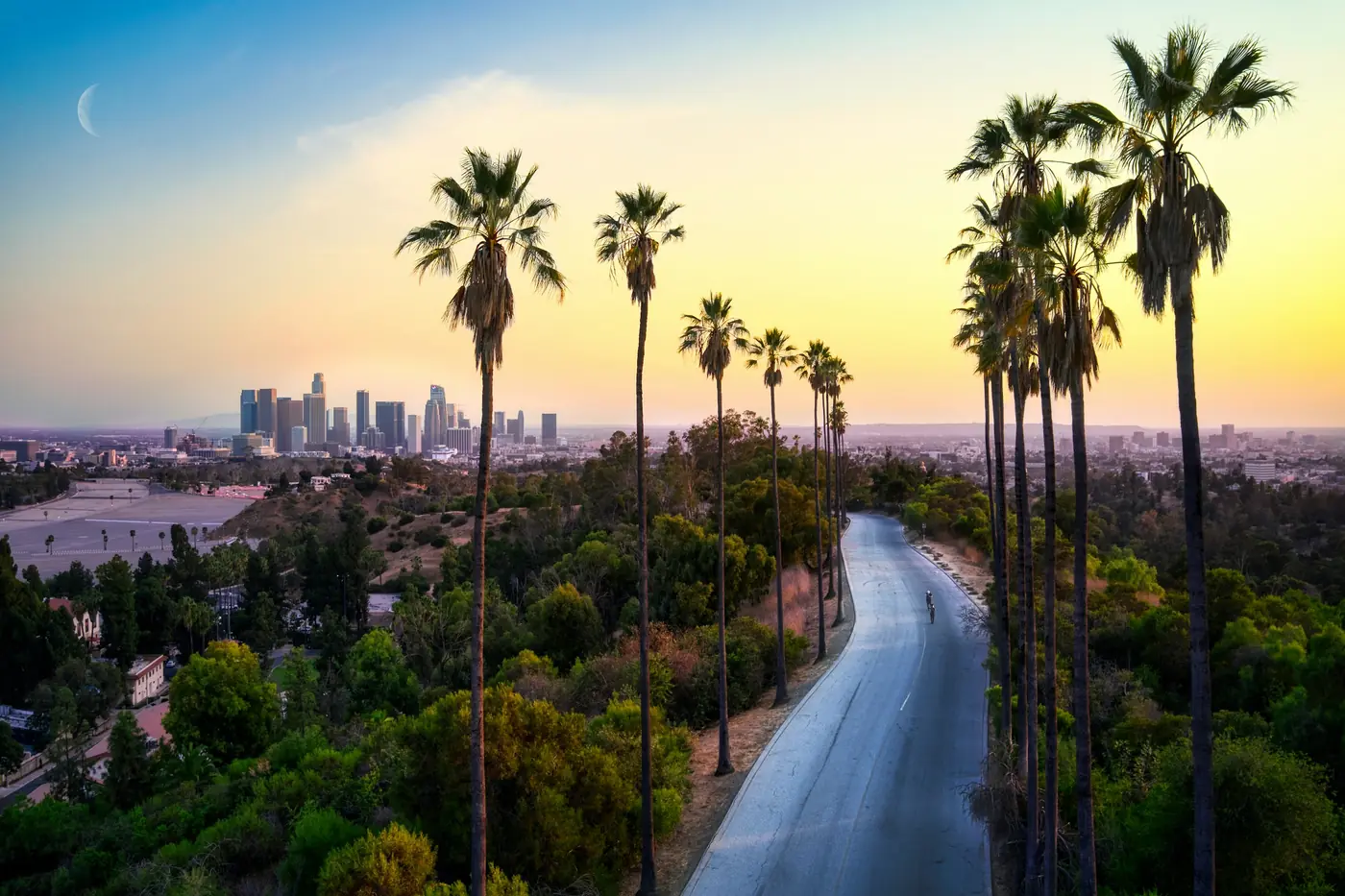 Palm-lined road leading toward the Los Angeles skyline at golden hour